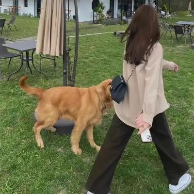 爱我就陪我看电影